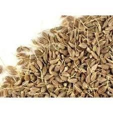 ERVA DOCE - 100 GRAMAS