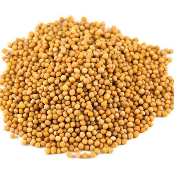 Semente de mostarda - 50g
